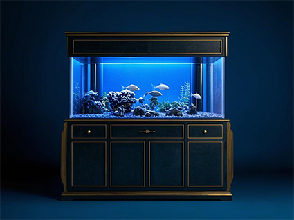 鱼缸.jpg